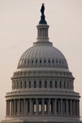 US Capitol Dome crowned by Freedom